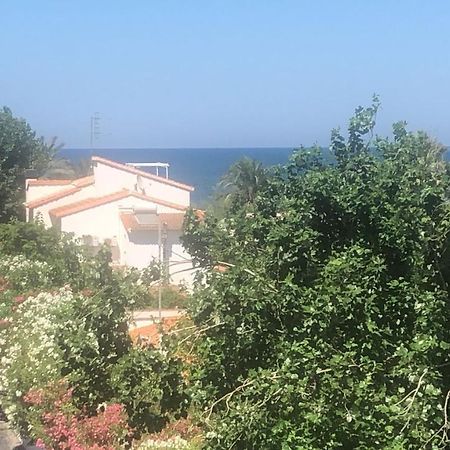 Primera Linea De Playa A 1Km Del Puerto De Dénia Extérieur photo
