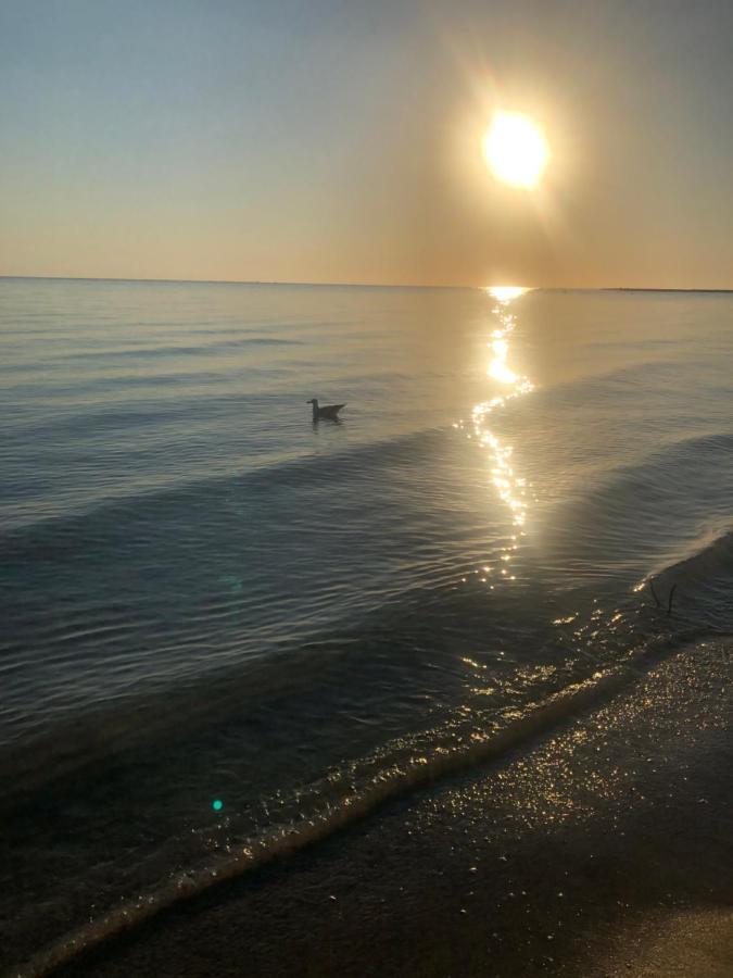 Primera Linea De Playa A 1Km Del Puerto De Dénia Extérieur photo